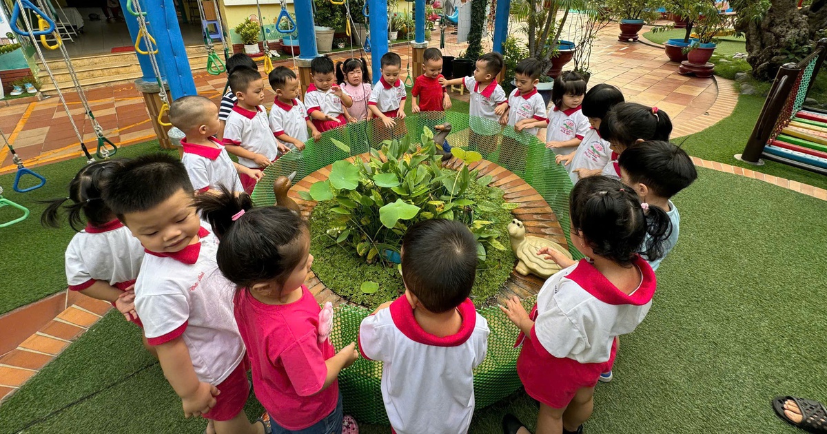 Tin tức sáng 26-7: TP.HCM tăng kiểm soát bán hàng đa cấp; Đổi mới quản lý chất lượng giáo dục