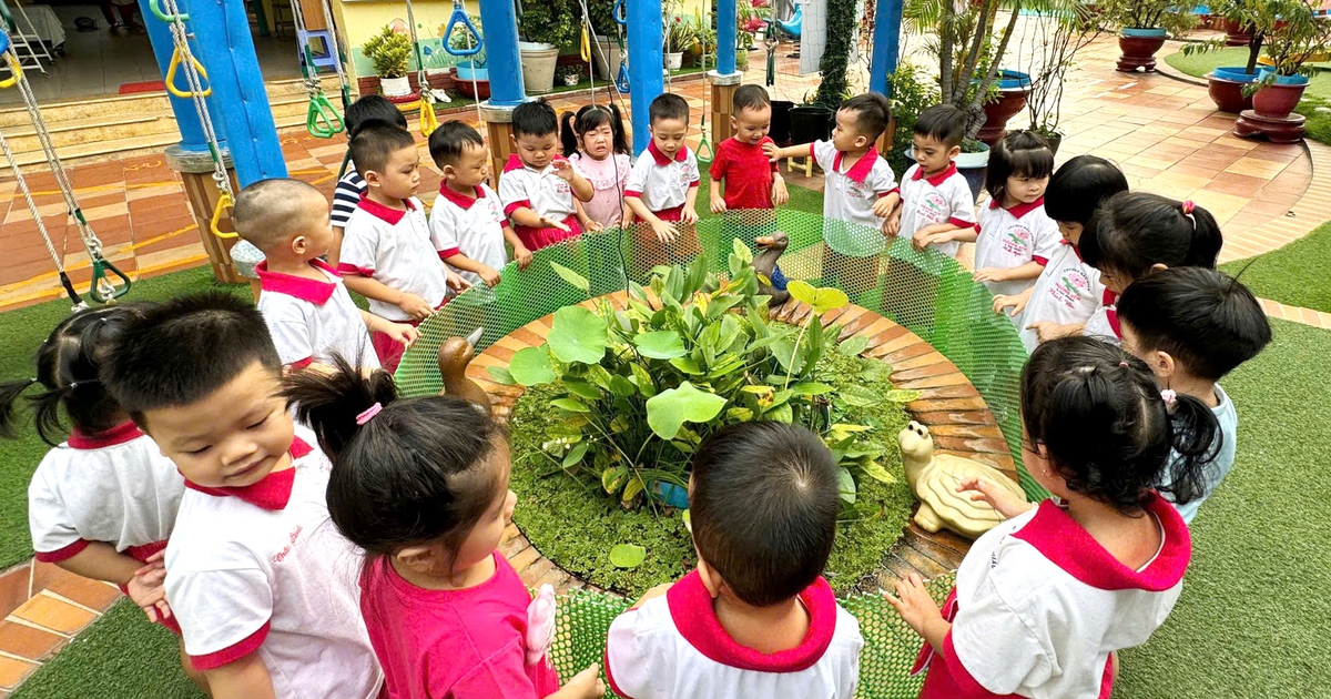 Tin tức sáng 26-7: TP.HCM tăng kiểm soát bán hàng đa cấp; Đổi mới quản lý chất lượng giáo dục