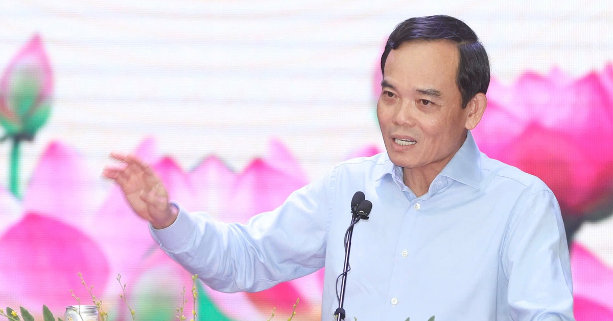 Bí thư Trần Lưu Quang: Khuyến khích phát triển trường tư để gỡ bài toán thiếu giáo viên