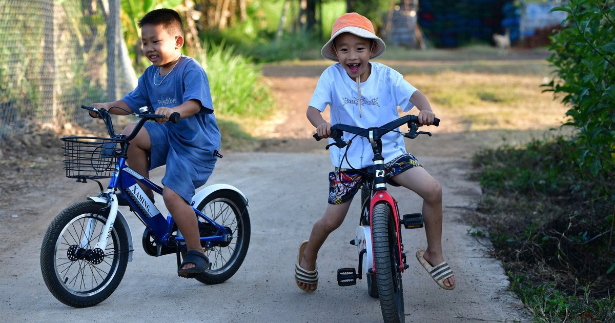 Hoạt động ngoài trời: 'liều thuốc bổ' cho đôi mắt của trẻ