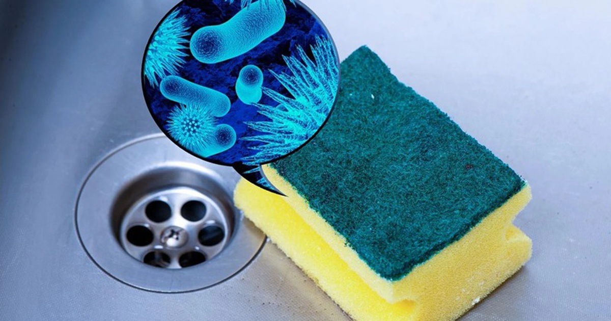Miếng rửa chén không hôi, không bẩn nhưng vẫn đầy vi khuẩn, nghiên cứu mới cảnh báo