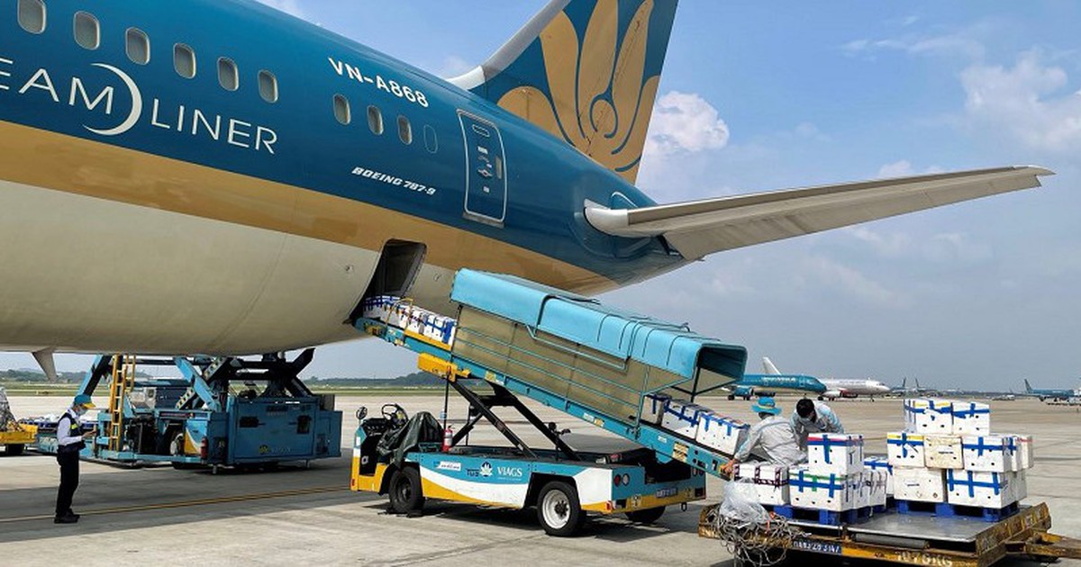Hãng bay Việt chuẩn bị máy bay riêng cho cuộc đua vận tải hàng hóa