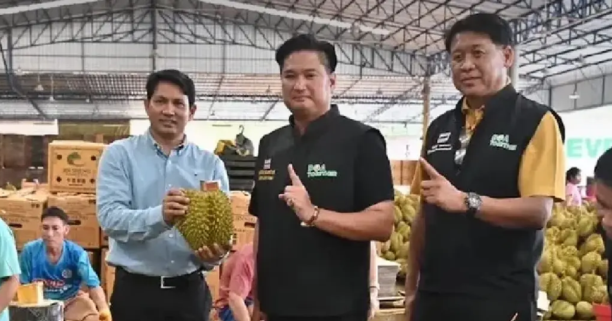 Sầu riêng Thái Lan lập kỷ lục xuất khẩu sang Trung Quốc, nhờ đâu?