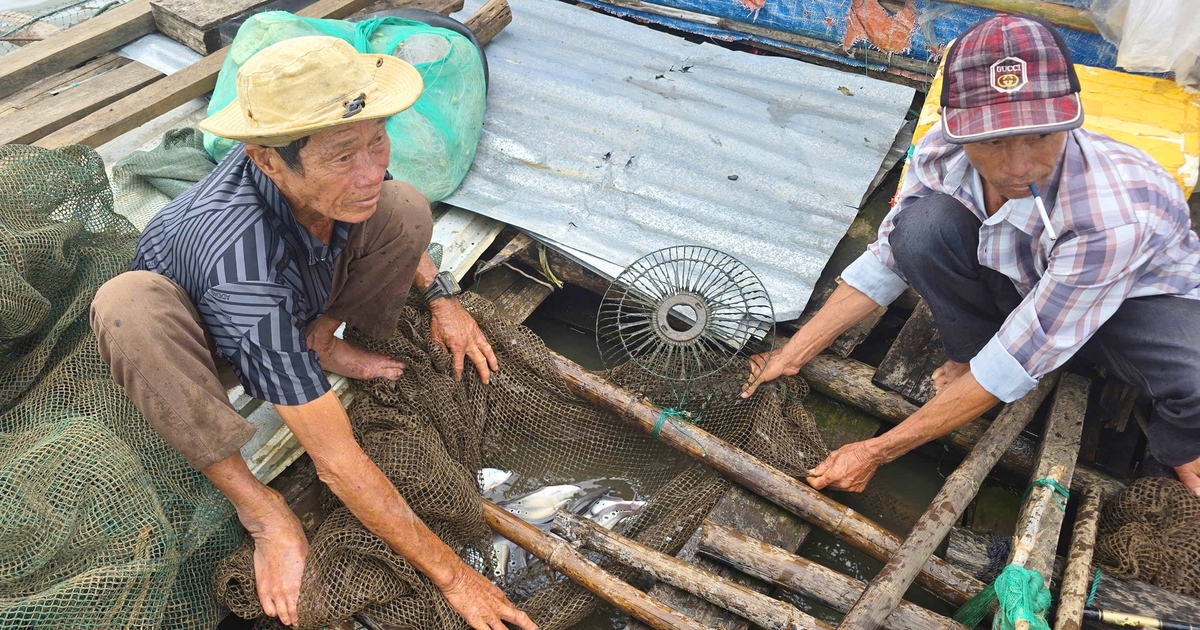 Doanh nghiệp và người nuôi cá trong hồ thủy lợi Ia Mơ đạt 'tiếng nói chung'