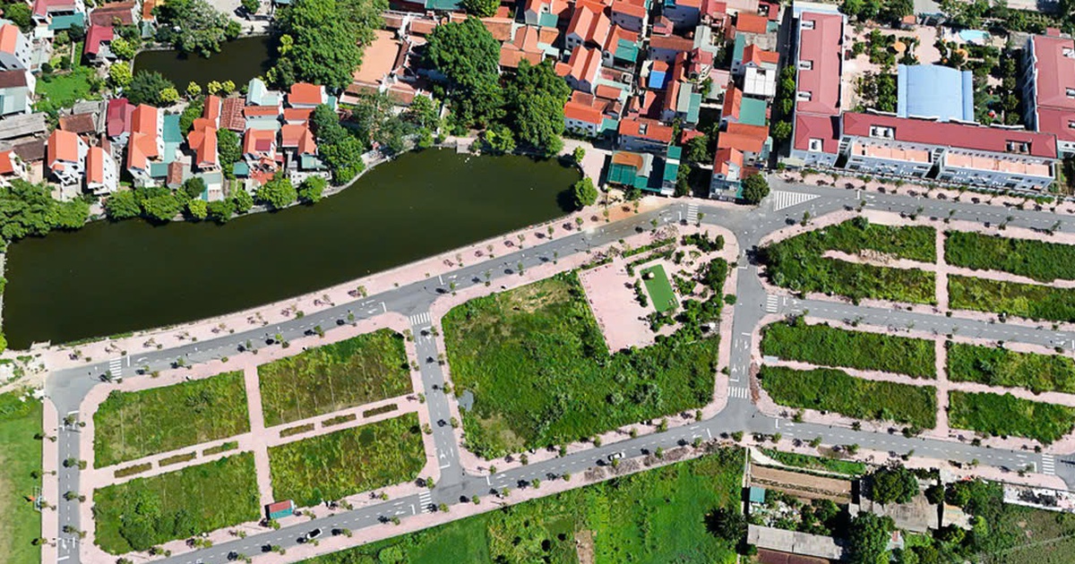 Muốn giảm đầu cơ đất, phải đánh thuế mạnh đất bỏ hoang