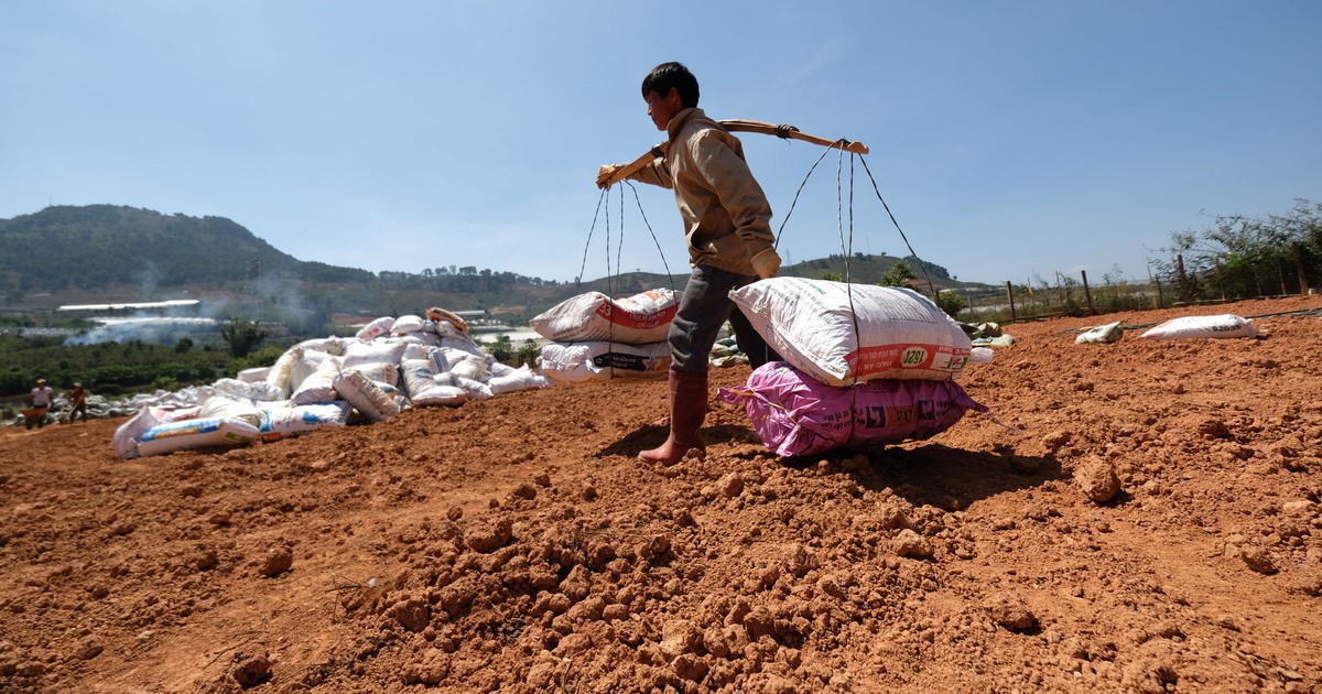 Xã kề bên Đà Lạt có 4.500ha đất chưa được cấp sổ đỏ