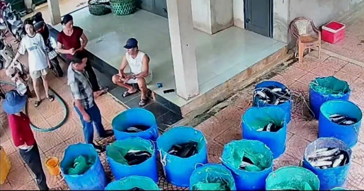 tuoitre.vn