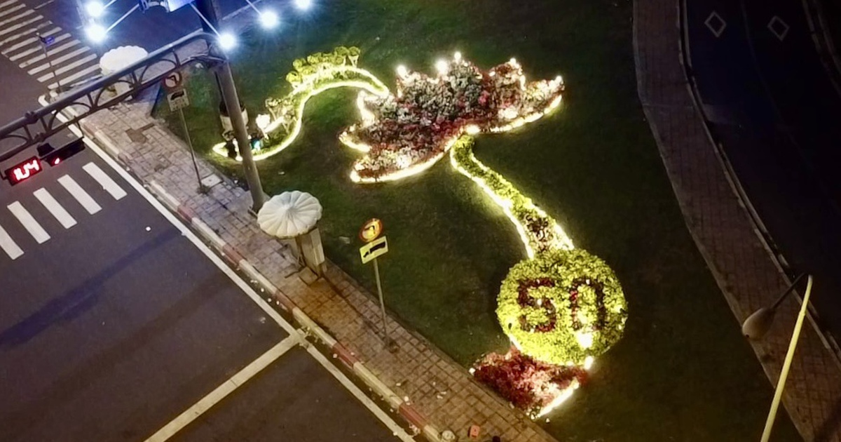 Biểu tượng bông sen dưới tuyến metro số 1 tạo điểm nhấn kỷ niệm 50 năm TP mang tên Bác