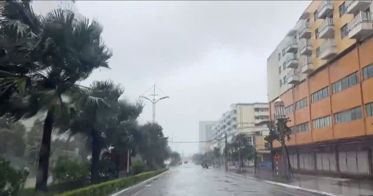 Móng Cái, Quảng Ninh gió mạnh dần lên, nhiều cây xanh ngã, mái tôn bị hất văng