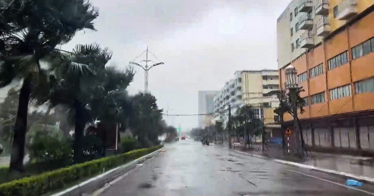 Móng Cái, Quảng Ninh gió mạnh dần lên, nhiều cây xanh ngã, mái tôn bị hất văng