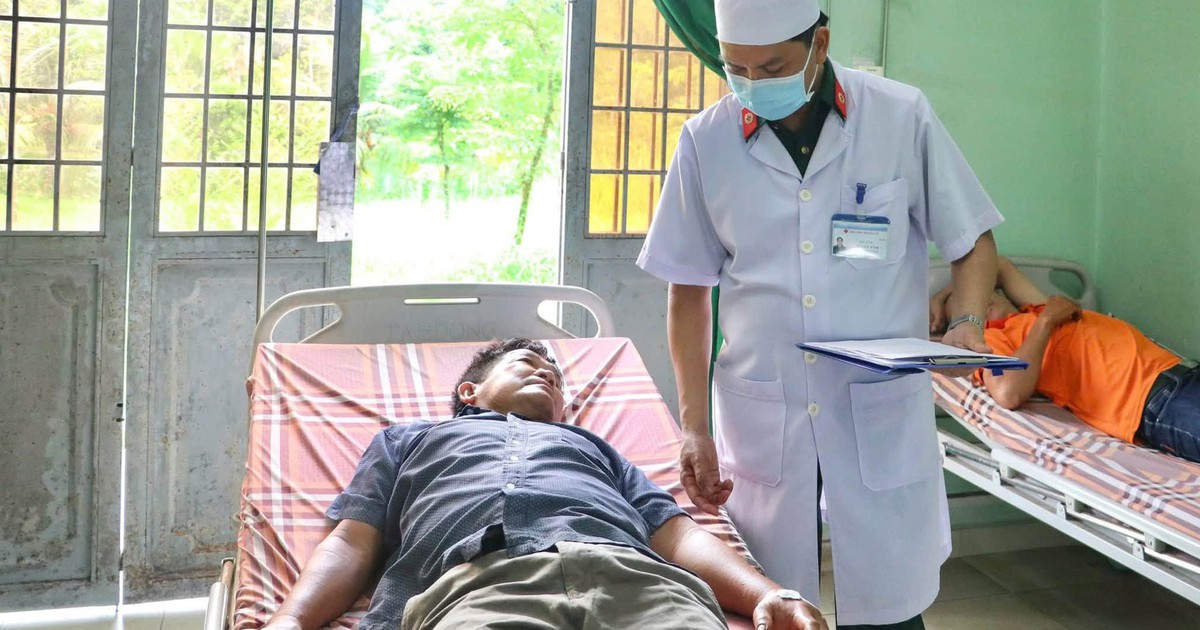 Trại rắn Đồng Tâm cảnh báo nguy cơ rắn độc cắn tăng cao vào mùa mưa lũ