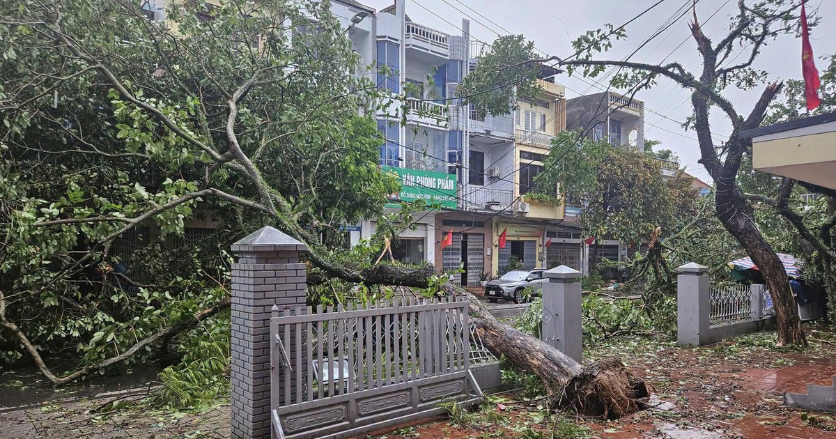 Vì sao bão số 1 không quá mạnh nhưng lại quần thảo Móng Cái từ chập tối đến sáng?