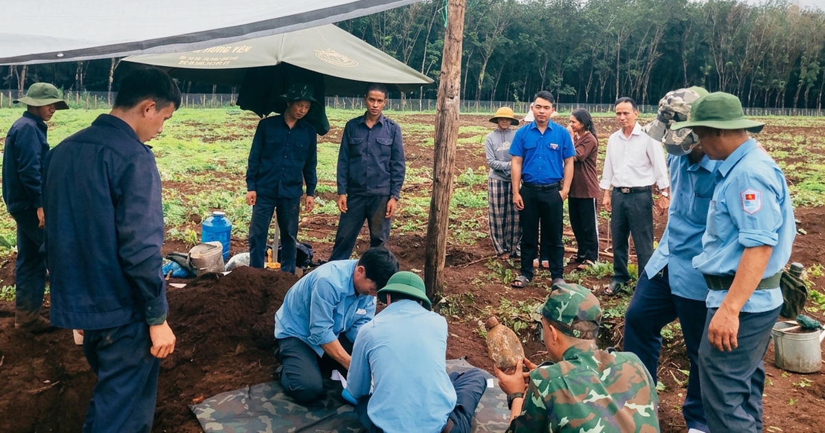 Gia Lai: Phát hiện hài cốt liệt sĩ khi đào hố trồng cà phê