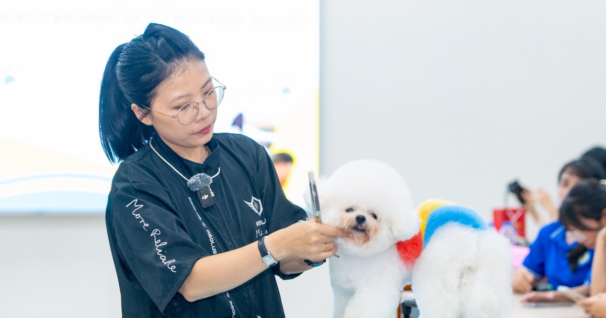 Grooming hiện đại mở rộng biên độ nghề Thú y cho người trẻ