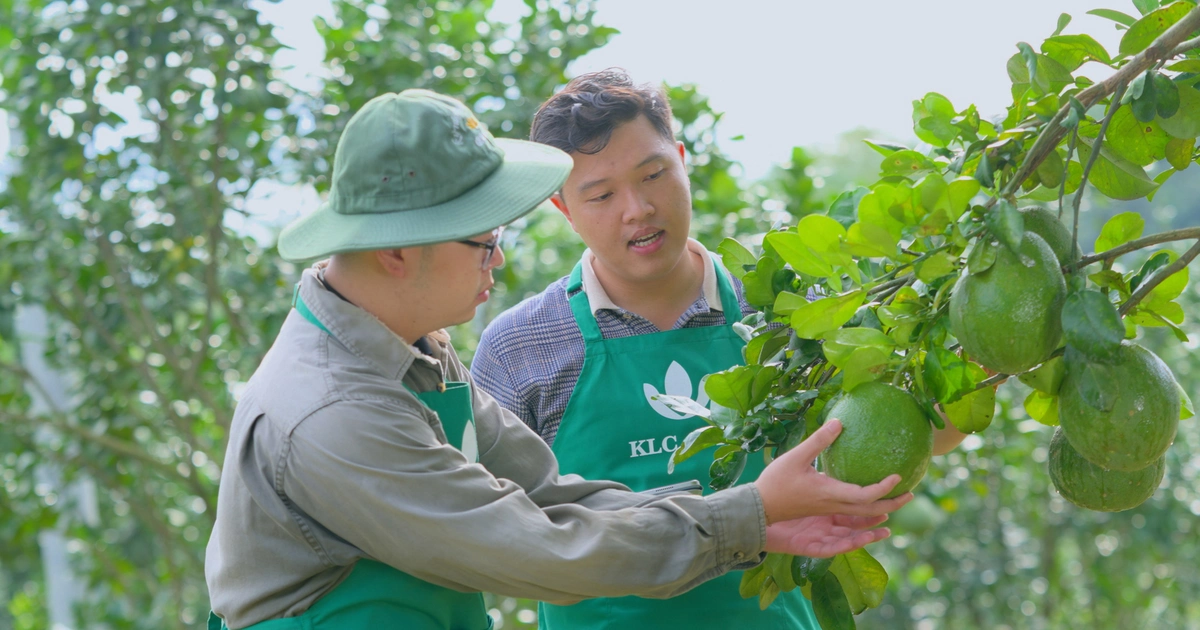 Nông nghiệp Việt Nam vươn toàn cầu: Đừng chờ lớn mới đầu tư, hãy đầu tư để trở nên lớn