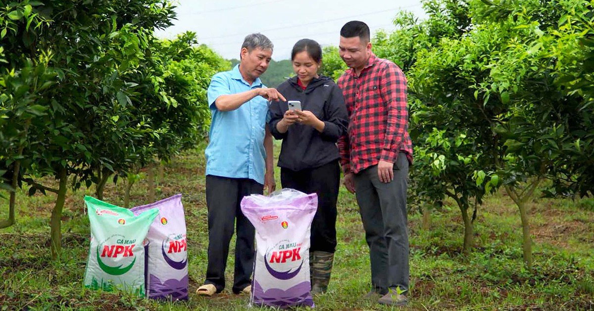 Sắc vui đến từ những câu chuyện thật và niềm tin ‘Mùa vàng thắng lớn’