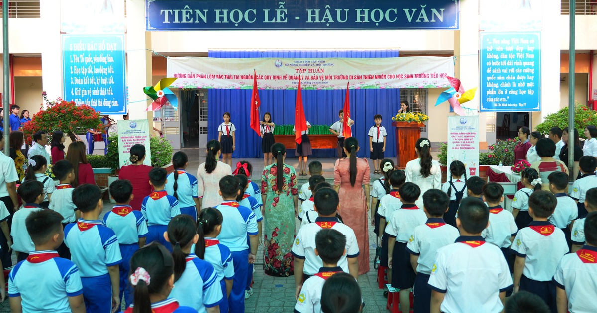 Phương án sắp xếp giảm hơn 45% đơn vị giáo dục trong tháng 8-2026 của Tây Ninh