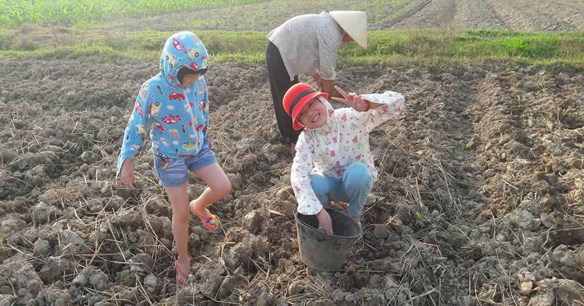 Trẻ rời điện thoại ra đồng 'mần nông'