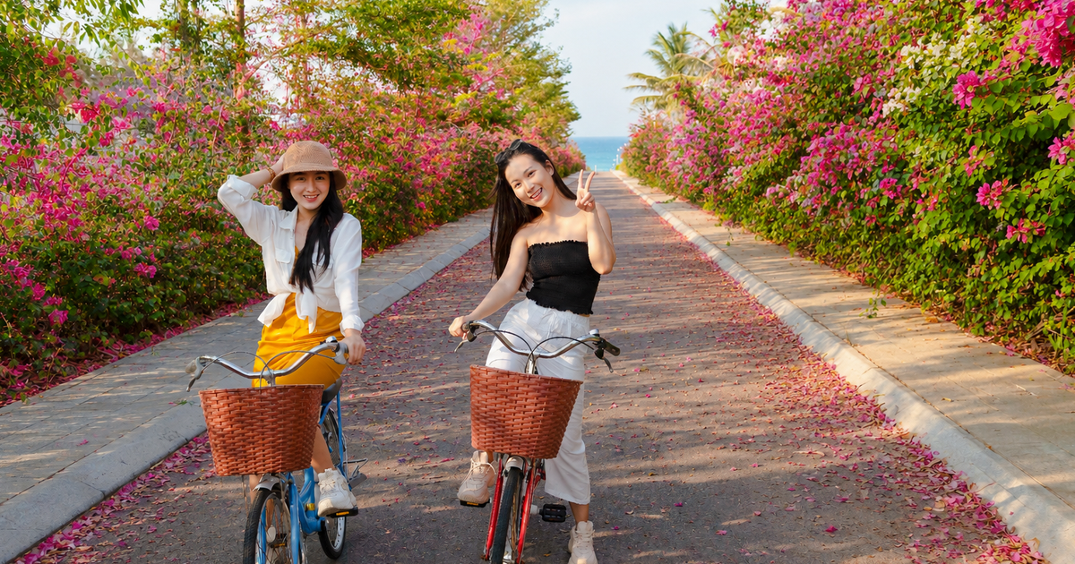Ngàn hoa rừng về phố biển Quy Nhơn trong mùa lễ hội tháng 8