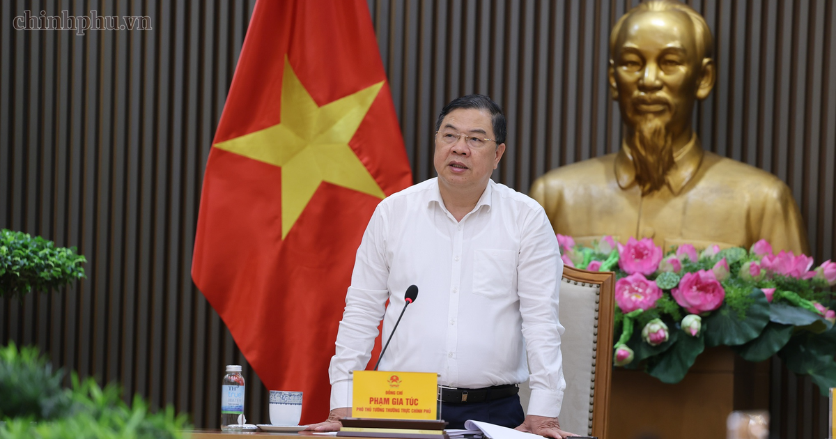 Phó thủ tướng thường trực: Thí điểm xe điện 3 bánh cần đánh giá kỹ tính khả thi
