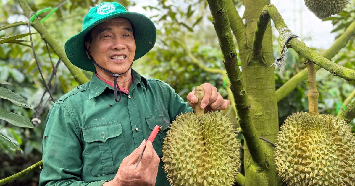 Bộ Nông nghiệp và Môi trường đàm phán với Trung Quốc thống nhất tiêu chuẩn kiểm nghiệm sầu riêng