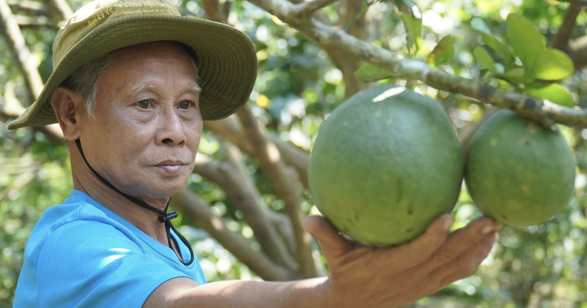 Hợp tác Việt - Úc: Thêm hàm lượng công nghệ vào nông nghiệp Việt Nam