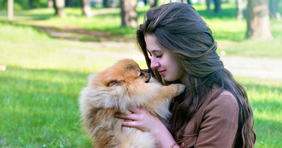 Chó ‘đọc’ được cảm xúc người lạ qua khuôn mặt