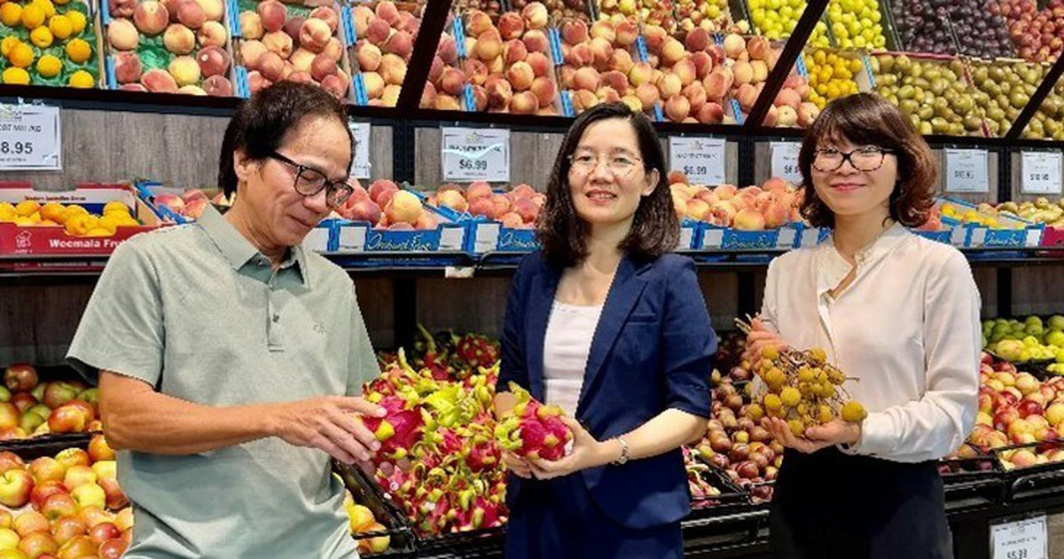 Sản phẩm xuất khẩu nào 'đắt hàng' tại Úc, có tiềm năng vào thị trường hơn 1.600 tỉ USD?