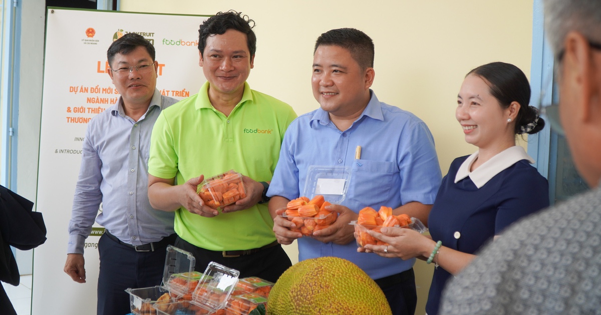 Tìm cách đưa mít 'ruột đỏ Cái Ngang' từ vườn lên bàn ăn