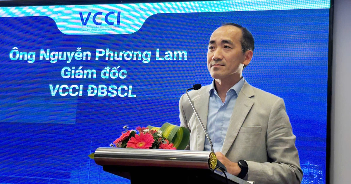 Số doanh nghiệp quy mô lớn ở Đồng bằng sông Cửu Long chỉ 0,9%