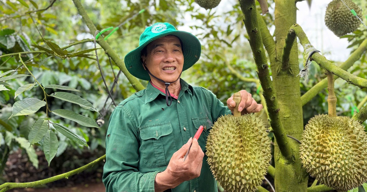 Vietnam, China seek common standards for durian testing