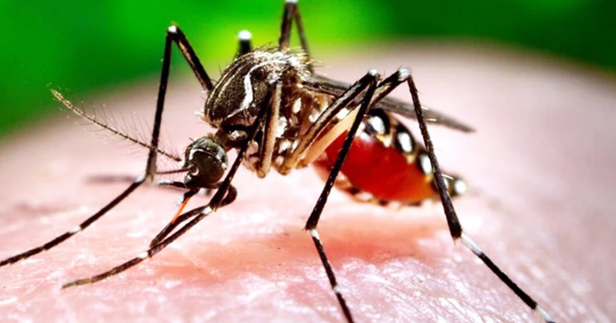 Đắk Lắk có trường hợp đầu tiên tử vong do sốt xuất huyết Dengue trong năm nay