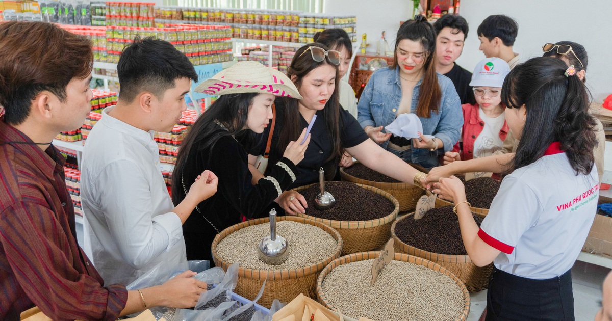 Ngành du lịch thiếu 20.000 lao động mỗi năm, đề xuất mô hình '5 tích hợp'