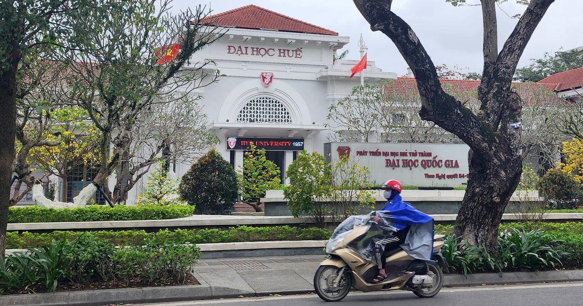 Đại học Huế rà soát việc xét tuyển đại học bằng chứng chỉ IELTS