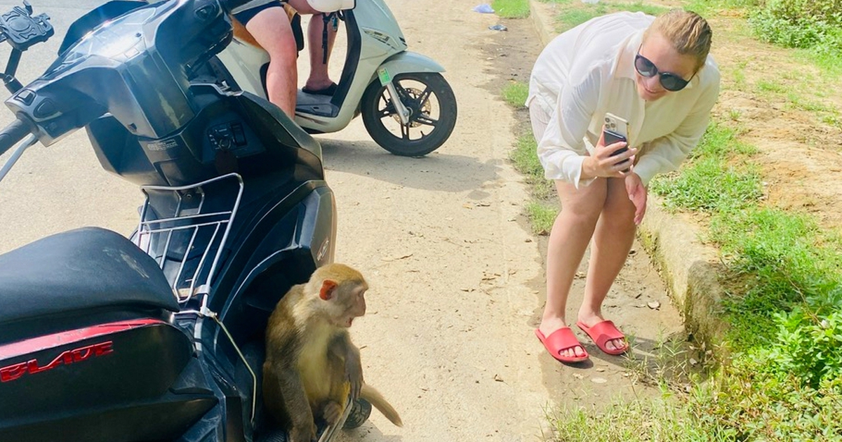 tuoitre.vn