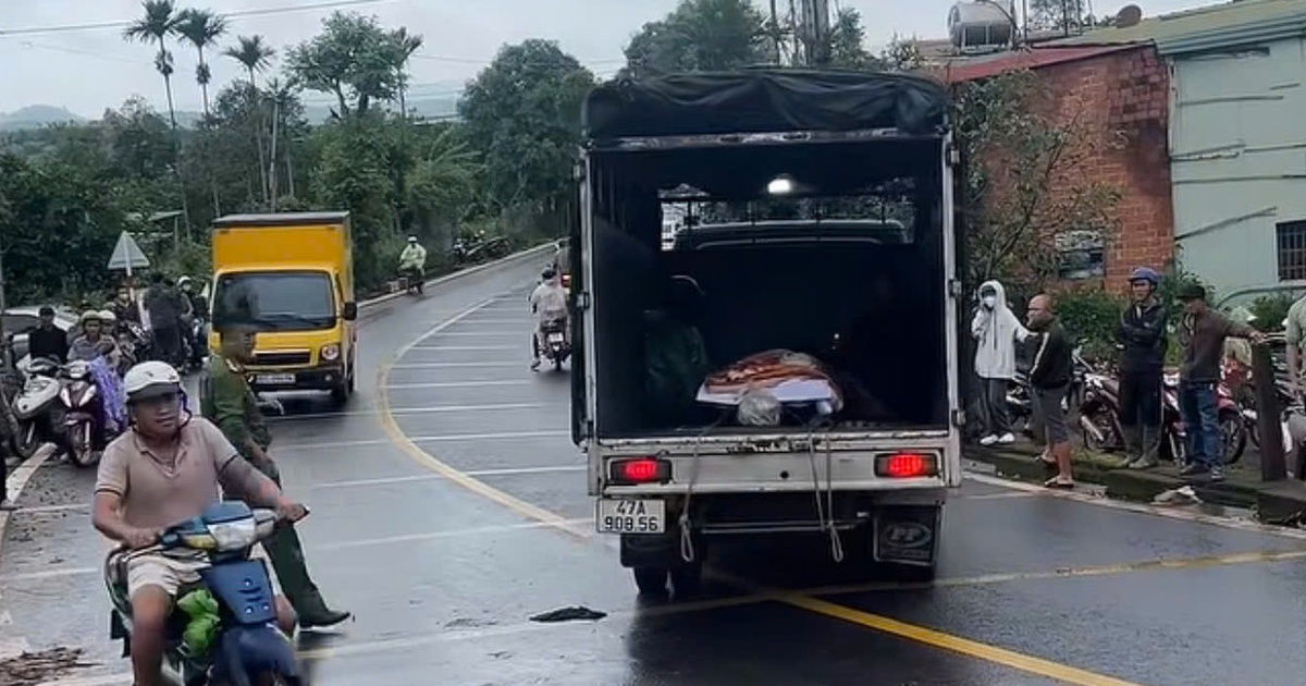 Đã xác định nghi phạm sát hại nữ nhân viên thư viện trường học