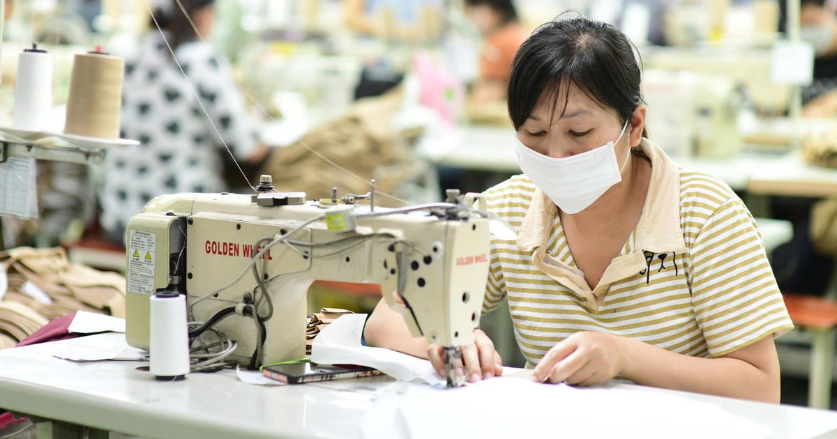 Ách tắc cấp C/O tại địa phương, doanh nghiệp xuất khẩu kiến nghị tháo gỡ khẩn cấp