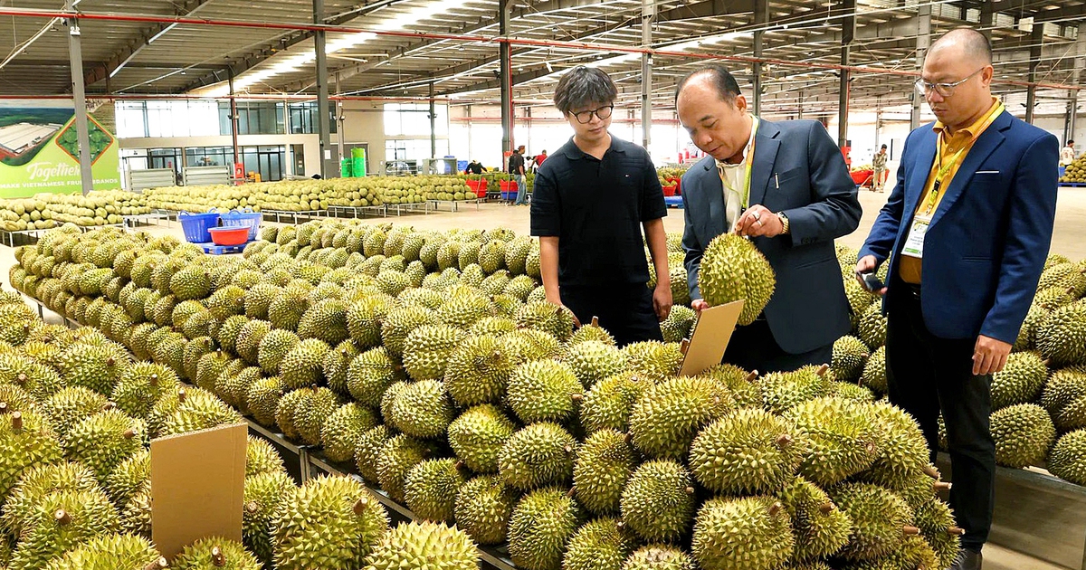 EU sắp siết dư lượng nhiều thuốc bảo vệ thực vật, nông dân, doanh nghiệp xuất khẩu nông sản cần lưu ý gì?