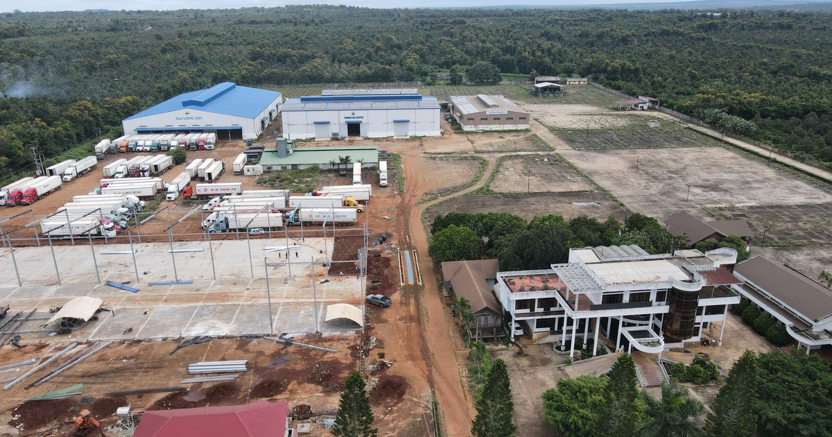 Đắk Lắk tính giải thể doanh nghiệp nhà nước thua lỗ, nợ thuế, giữ gần 100.000ha đất
