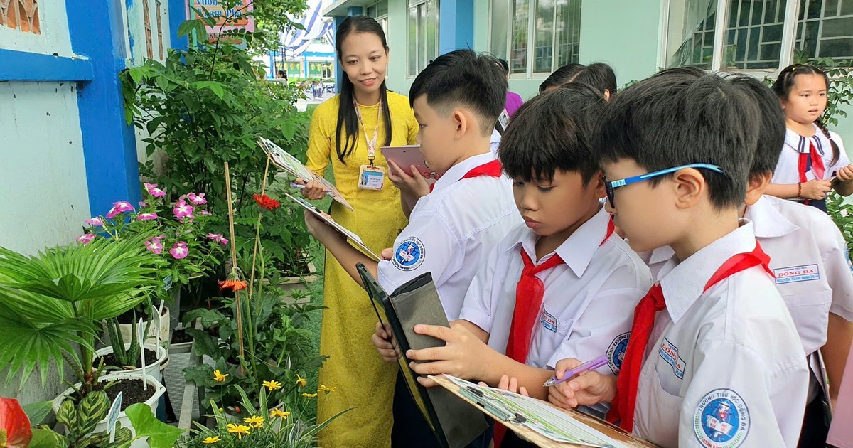 TP.HCM chính thức chốt phương án sắp xếp trường, trường nào không bị sáp nhập?