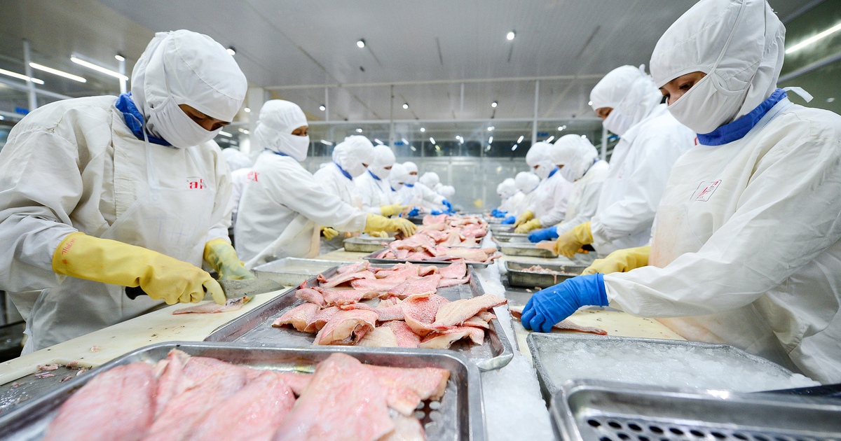 Cá tra Việt Nam gặp khó tại Mỹ vì 'thuế chồng thuế'?