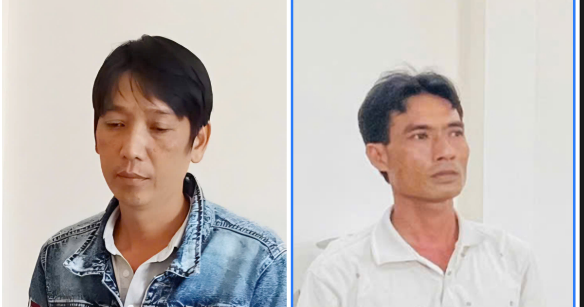 Thêm 2 'cò' bị khởi tố trong đường dây mua bán heo bệnh, chết ở Cần Thơ
