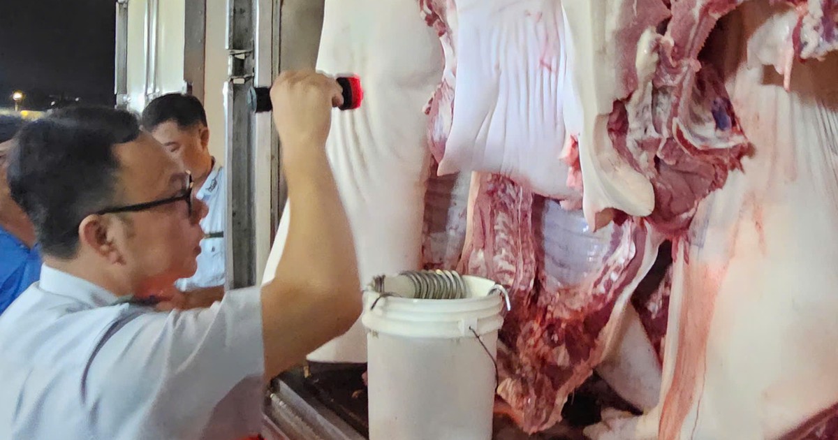 TP.HCM phát hiện, tiêu hủy nhiều lô thịt heo, gà nhiễm chất cấm
