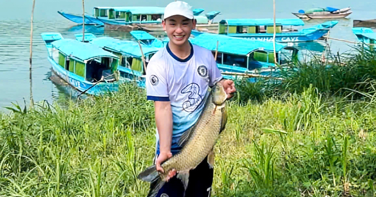 Loài cá ăn cỏ nuôi 5 năm mới bán ở Phong Nha