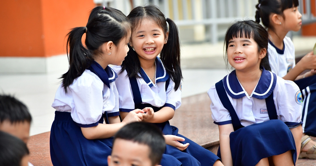 Vì sao 7 phường, xã TP.HCM không giảm trường sau sắp xếp?
