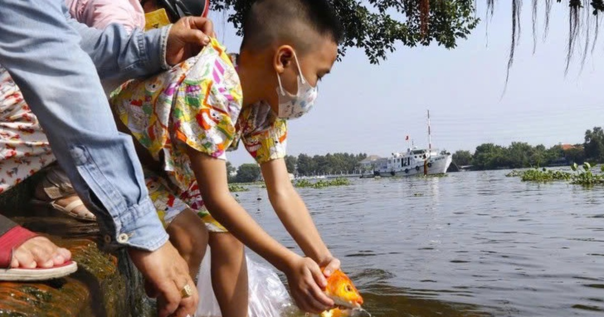 Phóng sinh đúng chánh pháp theo nhà Phật là thế nào?
