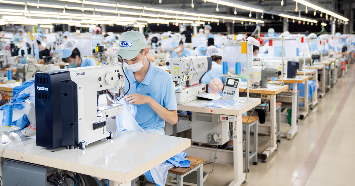 TP.HCM quá tải vì phải xử lý hàng ngàn hồ sơ cấp giấy chứng nhận xuất xứ từ tỉnh khác