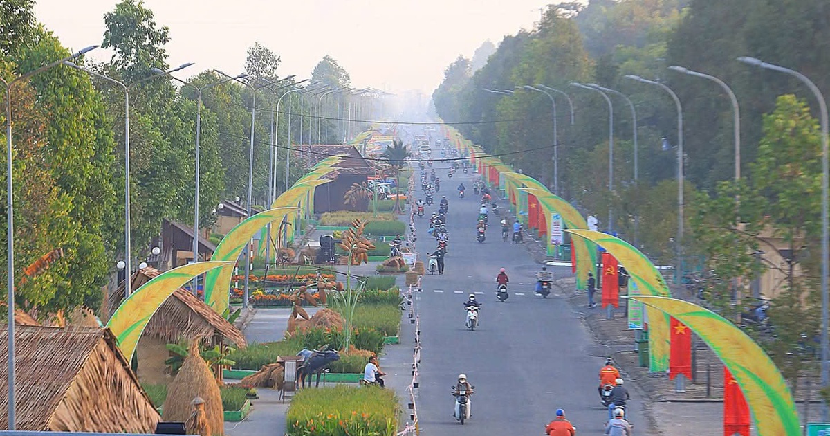 Cần Thơ tổ chức ‘con đường lúa gạo từ quá khứ tới tương lai’ và 3 hội thi về hạt gạo