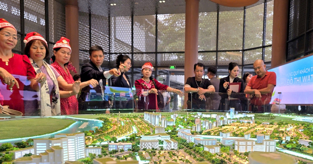 Bác sĩ, luật sư, môi giới bất động sản sẽ bị rà soát thuế trong bao nhiêu năm?