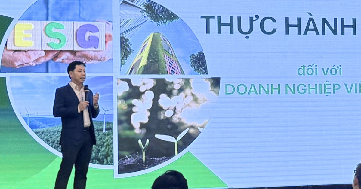 Thay đổi từ chiếc thẻ phòng đến cách xử lý thức ăn thừa, khách sạn TP.HCM đang tăng tốc xanh hóa